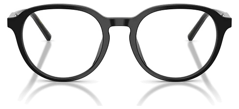 Dolce & Gabbana DG 3444 501