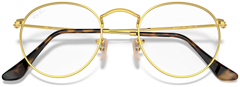 Ray-Ban RX 3447V 2500