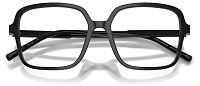 Dolce & Gabbana DG 3442 501