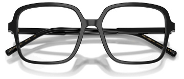 Dolce & Gabbana DG 3442 501