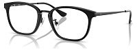Ray-Ban RX 7247D 2000