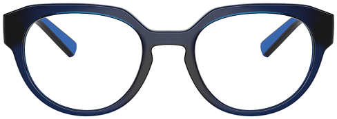 Dolce & Gabbana DG 5113 3009