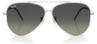 Ray-Ban RB R0101S 003/11