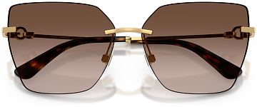 Dolce & Gabbana DG 2321 02/13