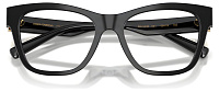 Dolce & Gabbana DG 3430 501