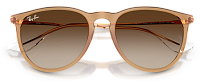 Ray-Ban RB 4171 681413