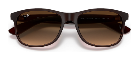 Ray-Ban RB 4202 607313