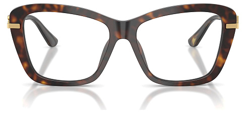 Dolce & Gabbana DG 3439 502