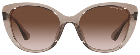 Armani Exchange AX 4111SU 824013