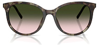 Dolce & Gabbana DG 4540 34782C