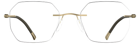 Silhouette 5561 8540