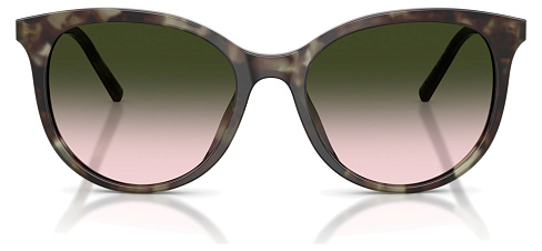 Dolce & Gabbana DG 4540 34782C