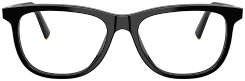 Miu Miu MU 01WV 16K1O1