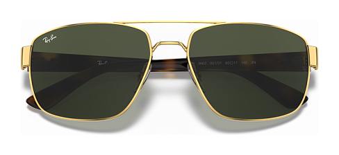 Ray-Ban RB 3663 001/31