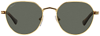 Persol PO 2486S 110958