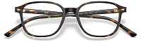 Ray-Ban RX 5393 2012