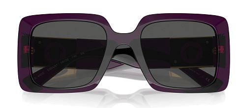 Versace VE 4405 538487