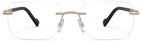 Pierre Cardin P.C. 6919 J5G