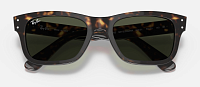 Ray-Ban RB 2283 902/31