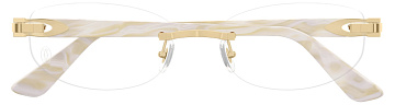 Cartier CT0318O 005