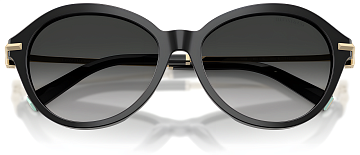 Tiffany & Co TF 4259 80013C