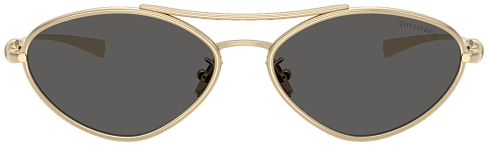 Tiffany & Co TF 3117 6021S4