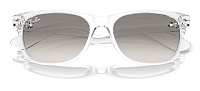Ray-Ban RB 2132 677432