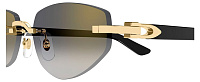 Cartier CT 0580S 001