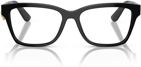 Dolce & Gabbana DG 3370 501