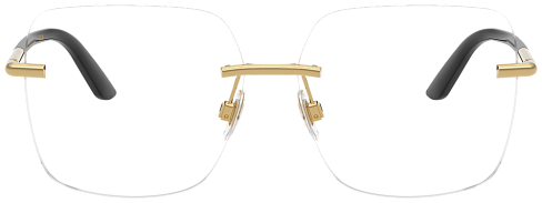 Dolce & Gabbana DG 1360 02