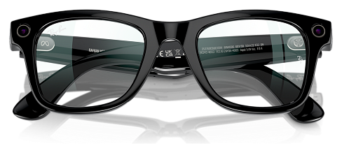 Ray-Ban Meta Wayfarer RW 4006 601/SB