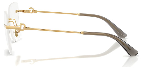 Dolce & Gabbana DG 1363 02