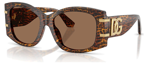 Dolce & Gabbana DG 4501 347073