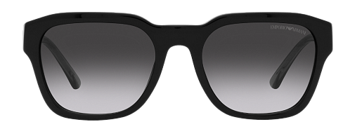 Emporio Armani EA 4175 58758G