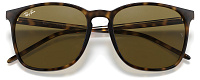 Ray-Ban RB 4387 710/73