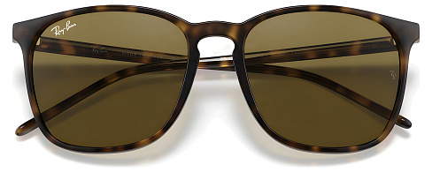 Ray-Ban RB 4387 710/73