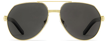 Cartier CT 0272S 001