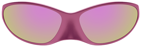 Balenciaga BB0349S 007