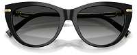 Tiffany & Co TF 4253 80013C