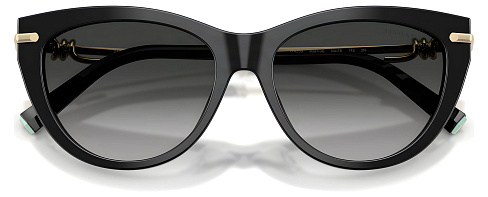 Tiffany & Co TF 4253 80013C