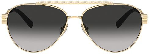 Tiffany & Co TF 3101B 60213C