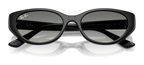 Ray-Ban RB 4457D 667711
