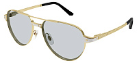 Cartier CT 0425S 006