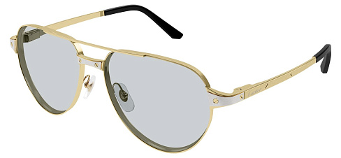 Cartier CT 0425S 006