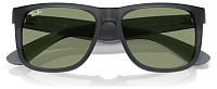 Ray-Ban RB 4165 687382