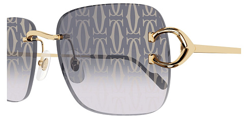Cartier CT0330S 007