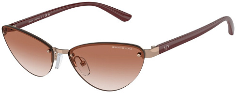 Armani Exchange AX 2049S 610313