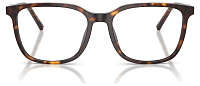 Dolce & Gabbana DG 3445 502