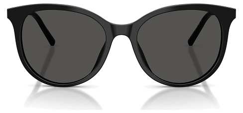 Dolce & Gabbana DG 4540 501/87
