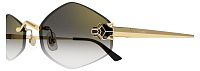 Cartier CT 0433S 001